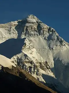 North Face