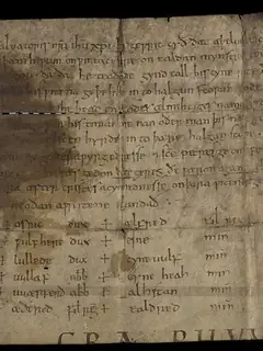 Chartes anglo-saxonnes
