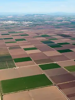 Irrigation