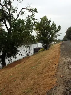 Levee