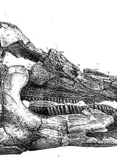 Telmatosaurus