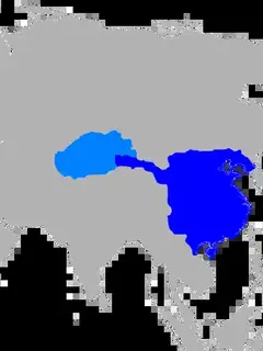 Han dynasty