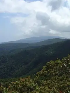 Northern Sierra Madre Natural Park