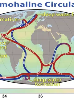Oceanography