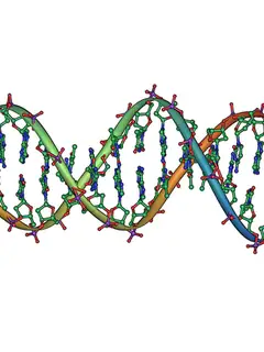 DNA profiling