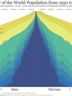 Demography