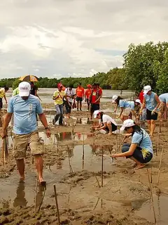 Climate change adaptation