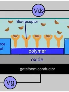Bio-FET