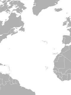 Mexico–Palestine relations
