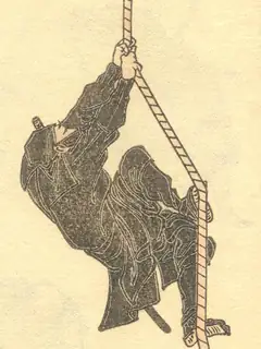 Ninja