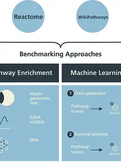 Pathway analysis