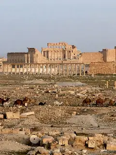Palmyra