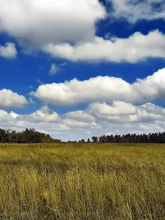 Cumulus cloud