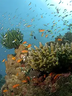 Andaman and Nicobar Islands