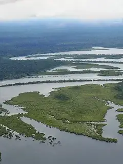 Amazon rainforest