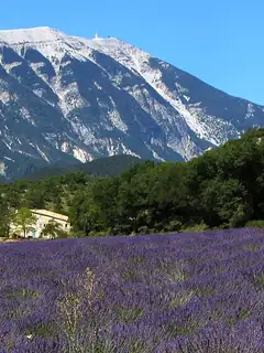 Provence