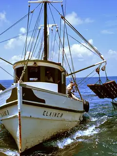 Fishing industry