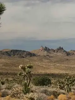 Castle Mountains National Monument