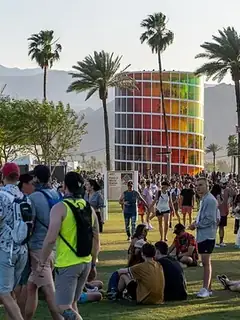 Coachella Festival