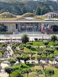 California Academy of Sciences
