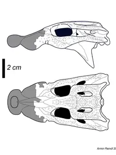 Trilophosuchus