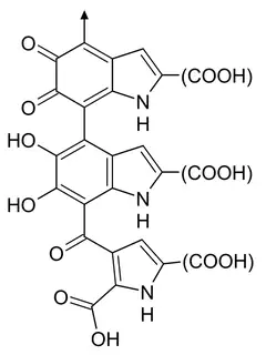 Mélanine