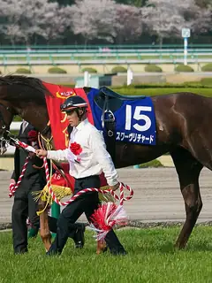 Ōsaka Hai