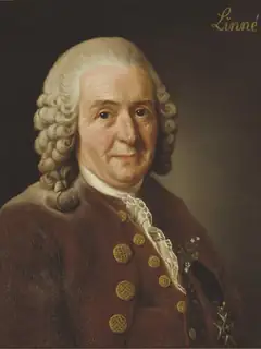 Carl Linnaeus