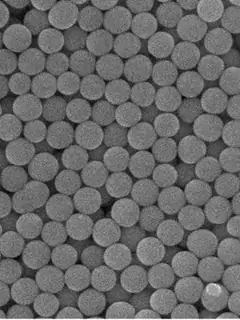 Colloid