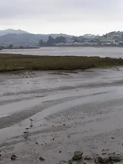 Slikke