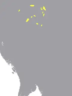 Khamti language