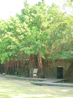 Anping Tree House