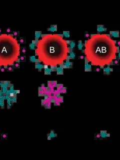 Blood type