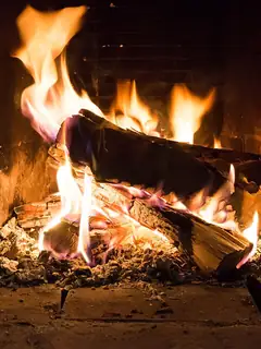 Combustion
