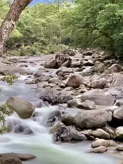 Mossman Gorge, Queensland