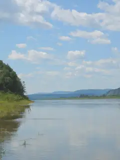 Amur