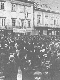 Austro-Hungarian strike of January 1918