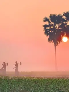 Fog