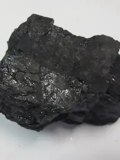 Coal