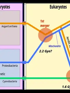 Symbiogenesis