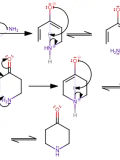 Reaction mechanism