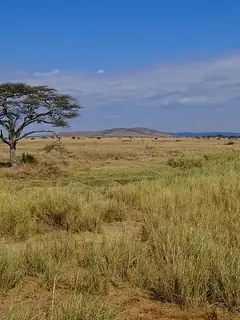 Serengeti National Park