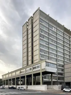 National Institute for Social Security
