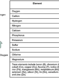 Biometal