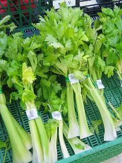 Celery