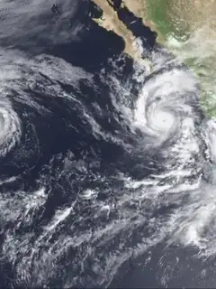 Tropical cyclones in 1993