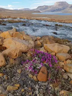 Ellesmere Island