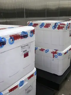 Vaccine storage