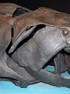 Eubrachythoraci