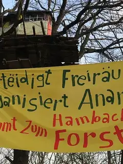 Conflits environnementaux